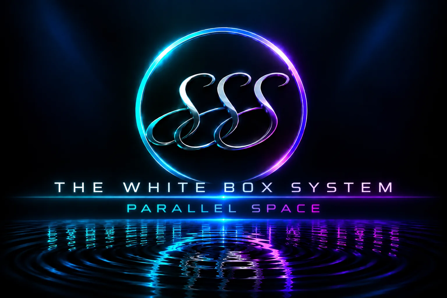THE WHITE BOX SYSTEM