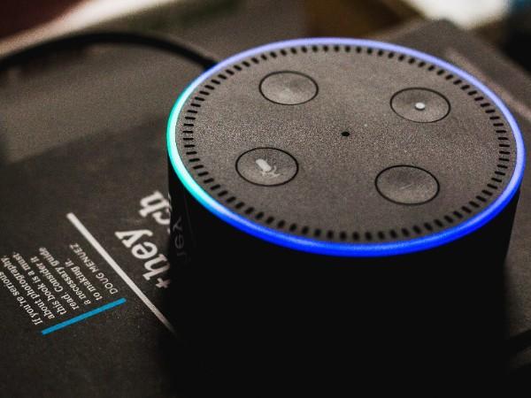 Ziggy - The Masculine Alexa
