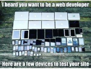 <p>Do you want to be a Web Developer??</p>

