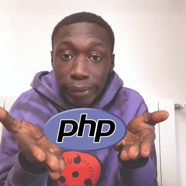 <p>metaverse will be coded in php</p>
