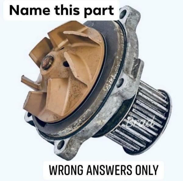 <p>Wrong answers only please</p>
