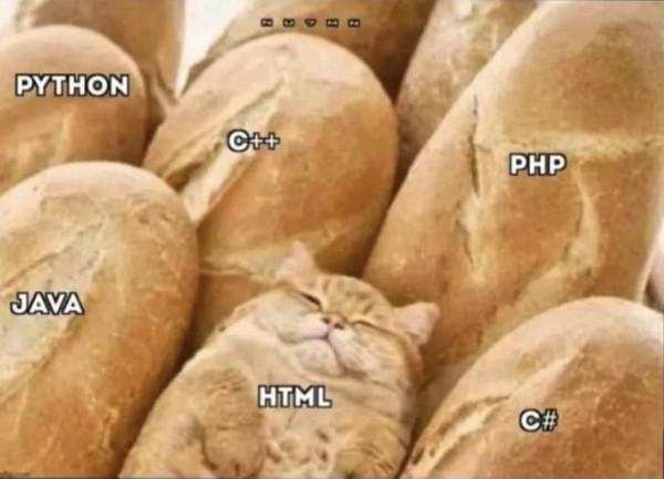 <p>HTML is NOT a programming language.</p>
