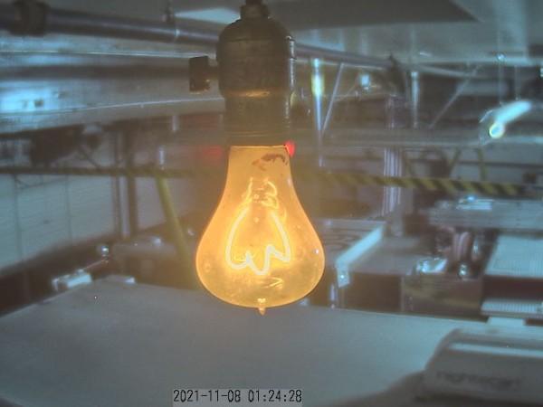 <p>world's longest running light bulb - running continuously since 1901; with a few power outages in between</p>
